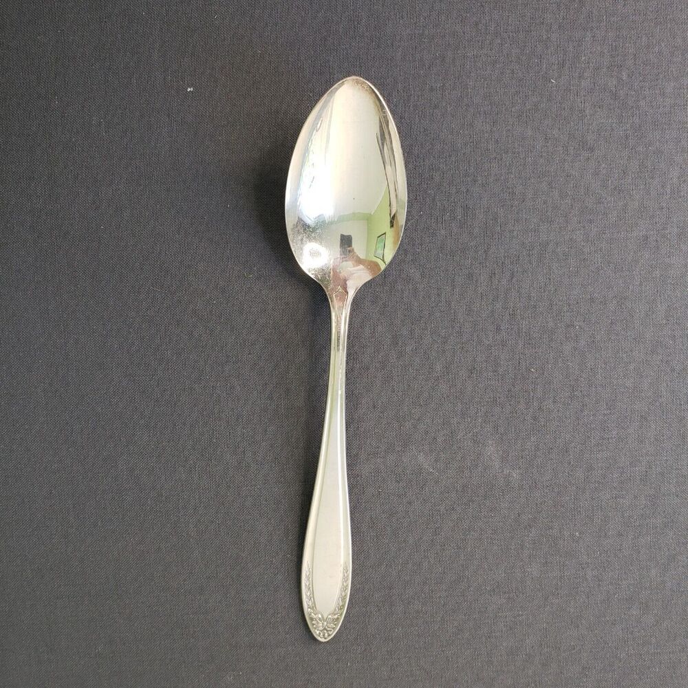 Oneida Bridal Wreath 1915 Community Silverplate Place Oval Soup Tablespoon